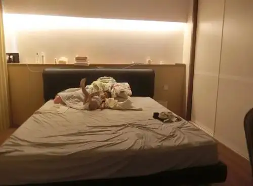 广东妈妈布置治愈系的家,井井有条一尘不染,清爽干净惹人爱