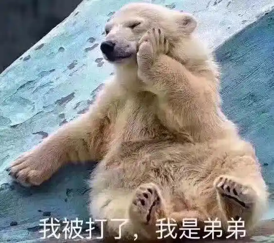 我被打了我是弟弟弟弟表情