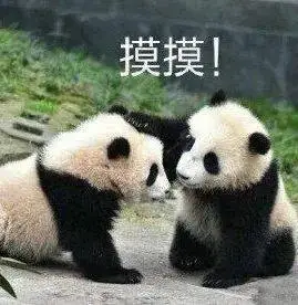 安慰的表情包爱你的动态表情包微信表情包鸭子云玩家表情包爱你么么哒