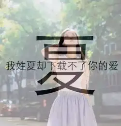 国学课每个姓氏里,都有一句情诗,你的是什么