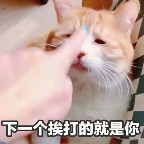 一个挨打的就是你你欠揍凶巴巴搞怪gif动图_动态图_表情包下载_soogif