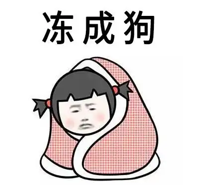 金馆长盖被冻成狗冷gif动图_动态图_表情包下载_soogif