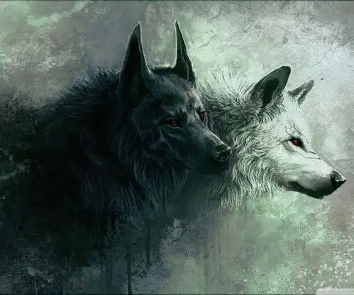 狼给人的启示,像狼一样的处世智慧和处世天性