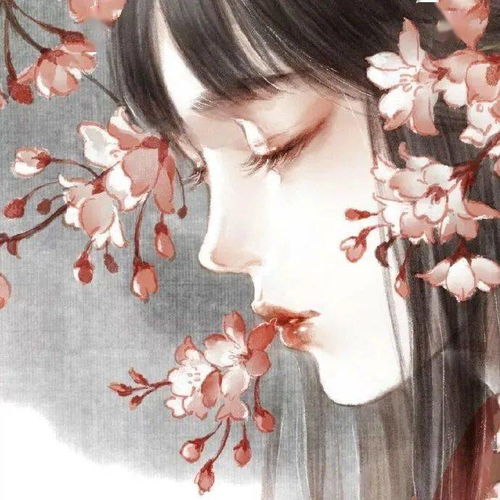 古风头像云起风生归路长