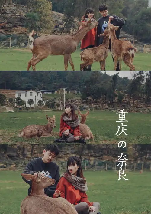 重庆日系梅花鹿苑,满屏都是奈良风