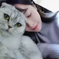 情侣头像两人抱着猫咪微信头像图片大全