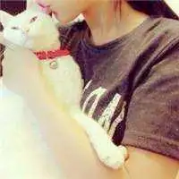 好看的抱着猫咪的情侣头像一男一女
