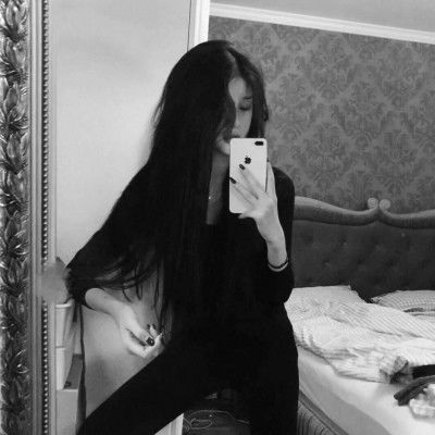 无标题