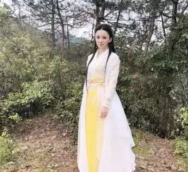 张无忌到底喜欢黄衫女子吗从他的这个表现来看,答案一目了然