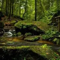 有深度治愈系风景图片头像