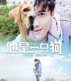 他是一只狗lucky结局是什么火场救主生死未卜