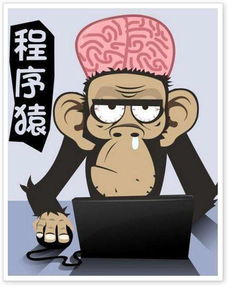 互联网时代想转行学计算机想赚钱你得先知道这些网络