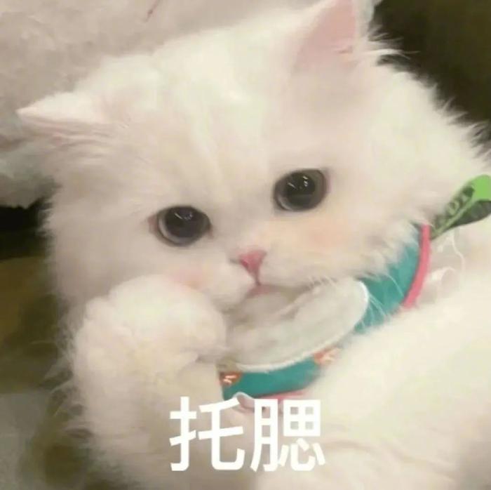 沙雕表情包,不用怎么凸显你的幽默感?