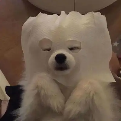 可可爱爱沙雕高级头像拿图点赞