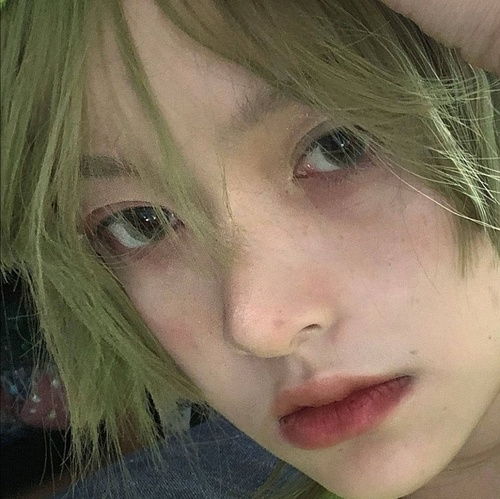 我的收藏