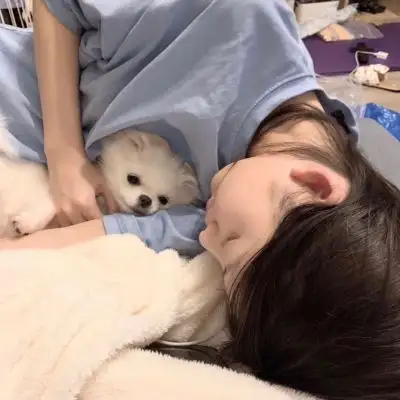 宠物和人系列头像的情头,情侣头像宠物和主人