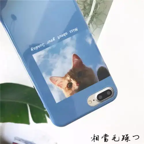爱不释手的壳壳