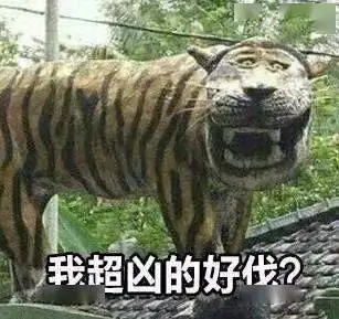 秋老虎不发威,你不能当它是病猫,接下来,随邳州天气起起落落吧