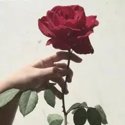 背景图丨想离开的人从不缺借口愿意留下的人也不需挽留