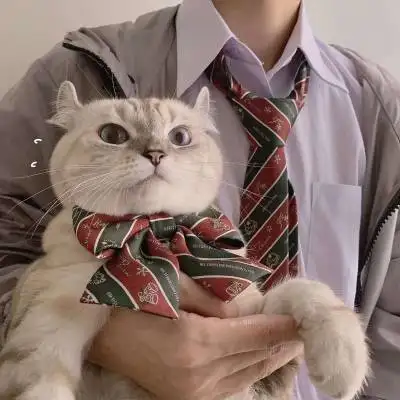 猫咪情侣头像一对两张猫系列情侣头像一左一右