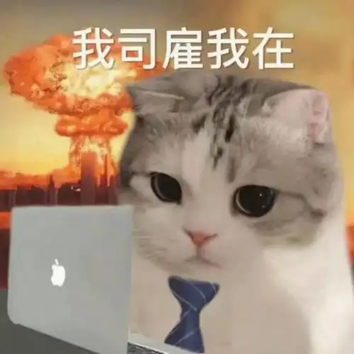 听说你缺表情包了