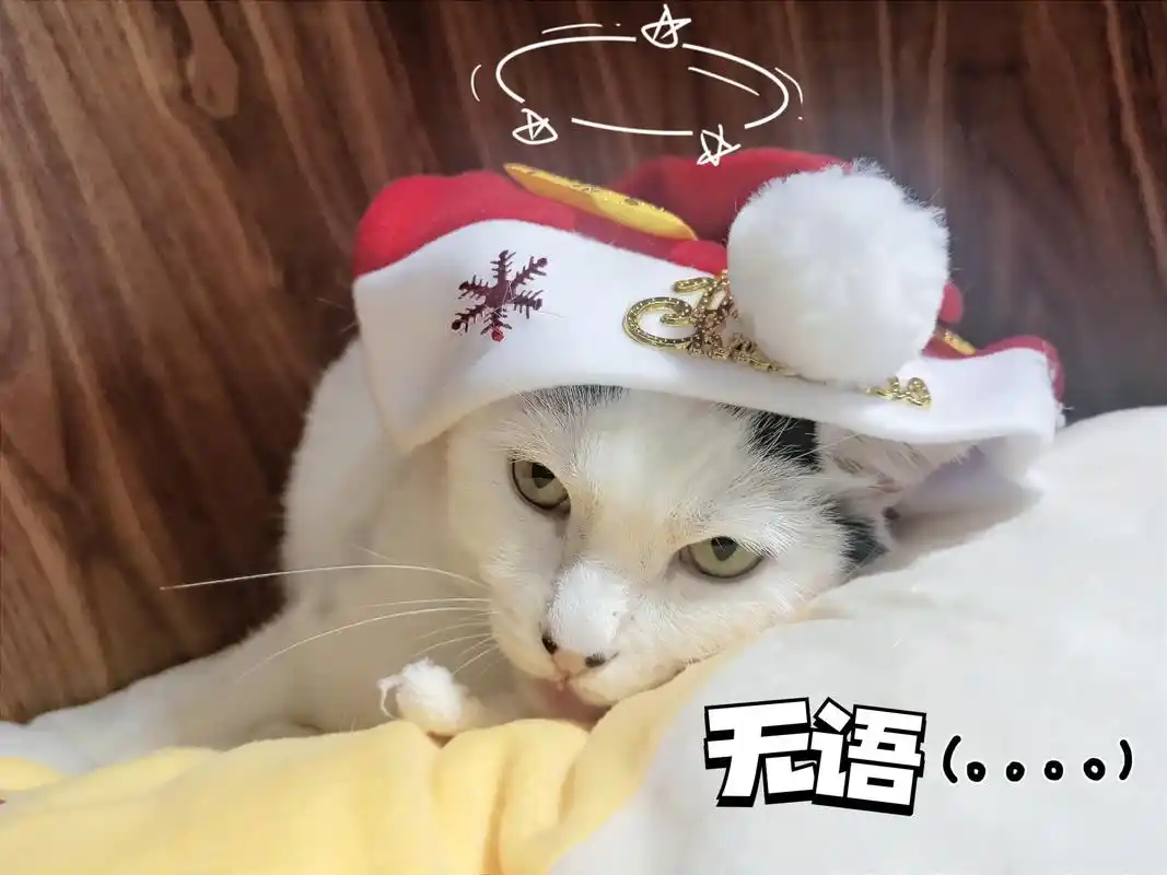 囧猫表情包