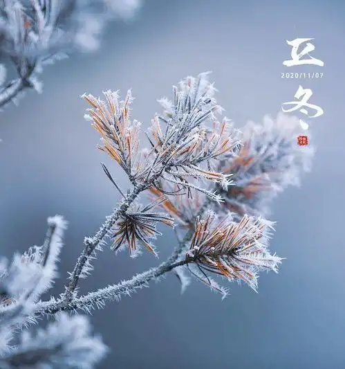 立冬天水清相入秋冬气始交
