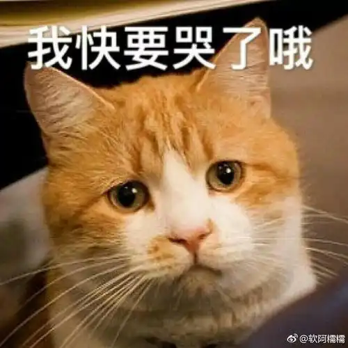 感觉不吃晚饭真的整个人都好疲惫好委屈吃了又罪恶感超深我就是个