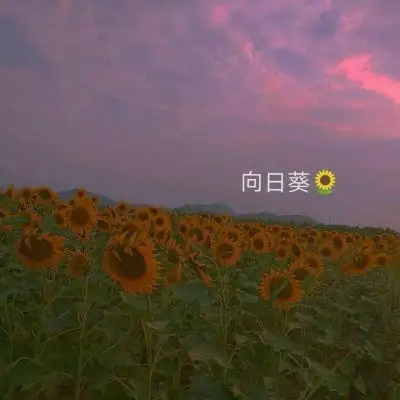 林知晚可爱唯美小清新自然背景风景静物头像我要个性网