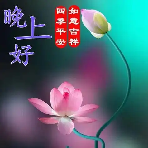 晚上好图片,晚上好祝福,晚上好问候语表情包,晚安好梦连连