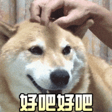 气温实况#