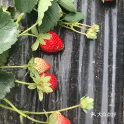 电话,地址,价格,营业时间