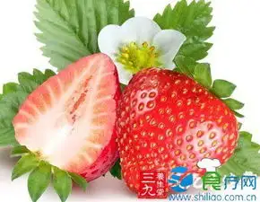 总是身体酸痛吗5tips帮你找回好身体