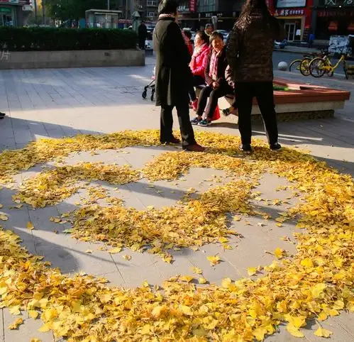 秋风扫落叶保洁员废物利用叶子摆画成亮丽风景线