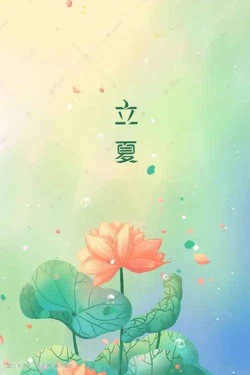 绿色唯美卡通清新夏季荷花立夏24节气配图插画图片千库网