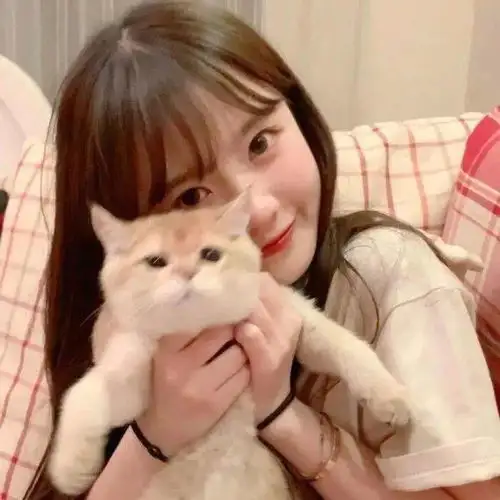 头像图片丨女生头像丨可爱的猫系女头1214