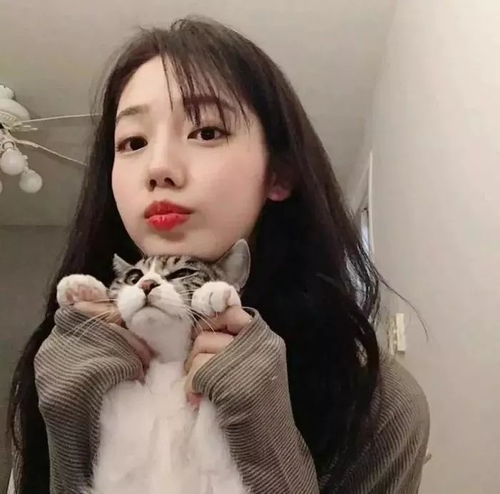 抱猫的少女