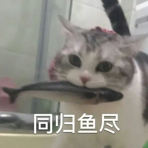 如何看待鹿晗关晓彤公开恋爱关系