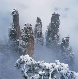冬天应该玩什么呢
