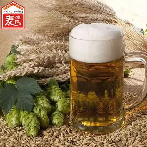 大东区精酿啤酒机械设备实力厂家麦德氏为您打造属于你自己的产品