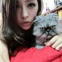 男女抱猫情侣头像微信头像图片大全