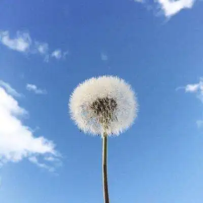 626969资料网站