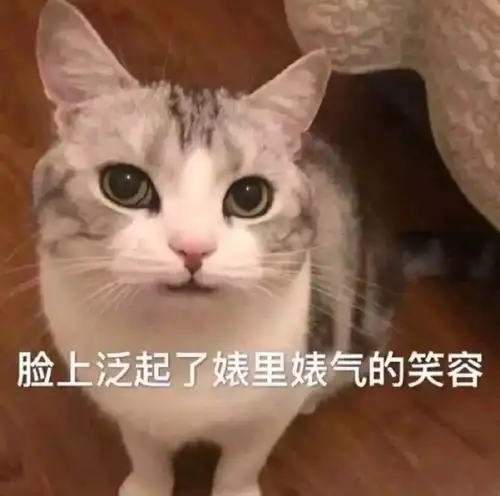 正儿八经的dr大热猫系犬系妆容大pk,秒变女神范