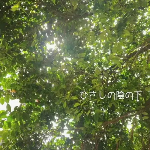 安奈ins风治愈系背景图等到苦风景静物头像我要个性网