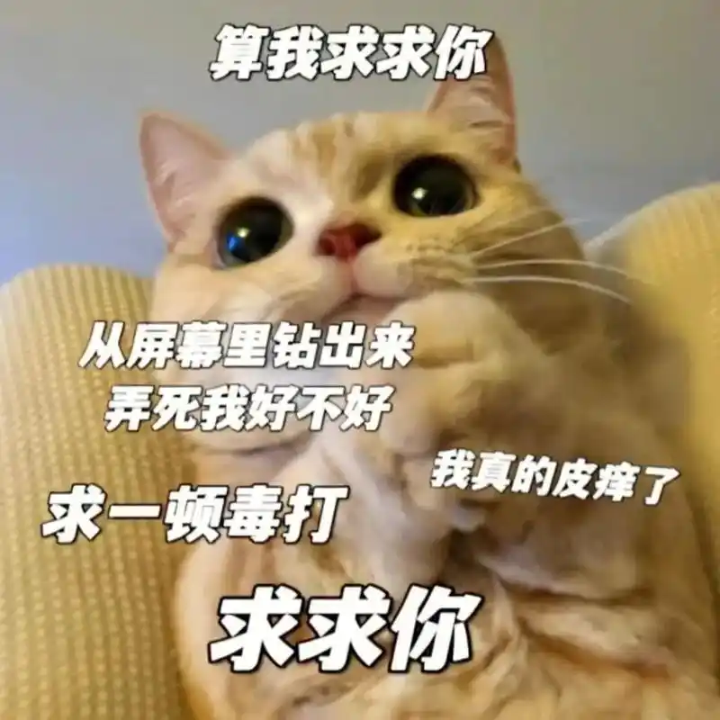 快拿去发给女朋友看吧#艾特你想艾特的人#情侣套路表情包-抖音