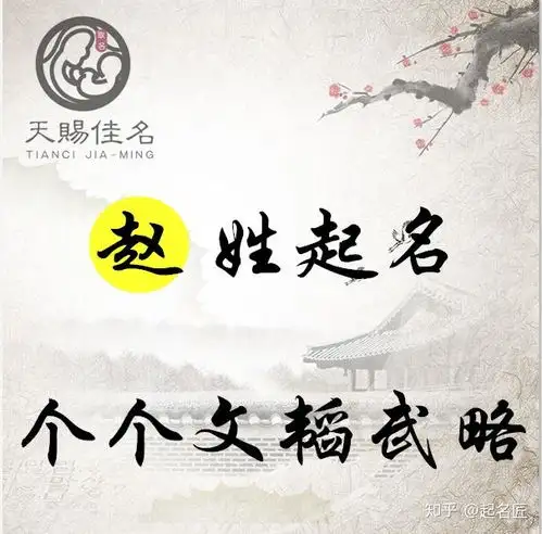 赵姓起名赤胆忠心,器宇不凡的男孩女孩名字,个个文韬武略