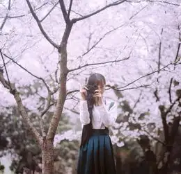 美女日历武大女神黄灿灿文艺白裙看樱花