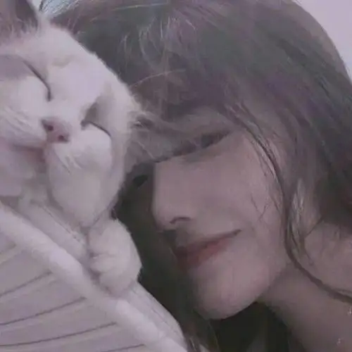 头像图片丨女生头像丨可爱的猫系女头1214