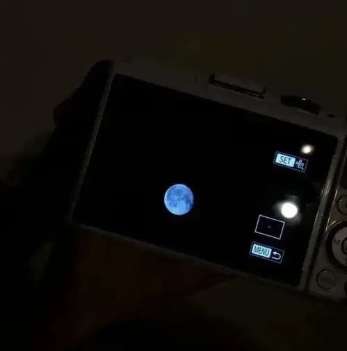 心情低落的丧系文案