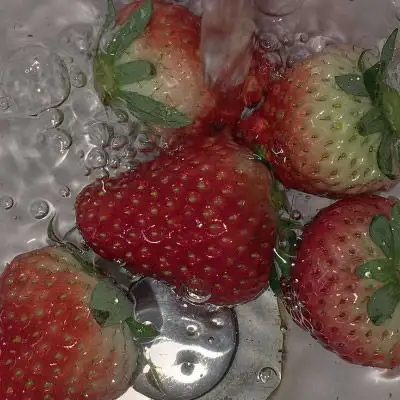 微信水果头像图片之草莓系列